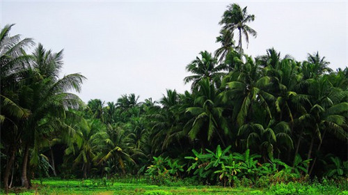 护理产品品牌