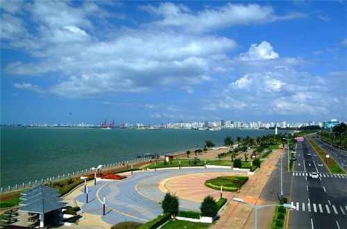 宠物美容十大品牌排行榜