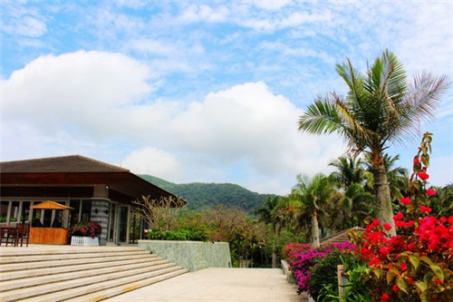 炒包菜怎么会有苦味儿（炒包菜为啥是苦的）