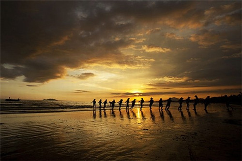 海茄参炒辣椒可以吃吗（海茄参怎么做好吃）