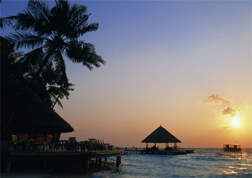 张晓磊最火文章（张晓磊资料）