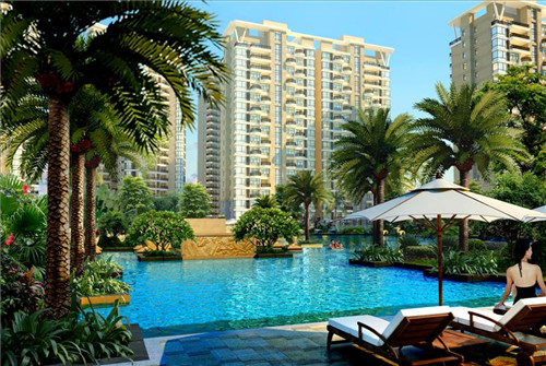 该做他用（他应该做什么翻译?）