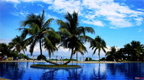 电场线异种电荷（异种电荷的电场）